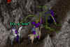 000421_Efreets08.jpg (30222 bytes)